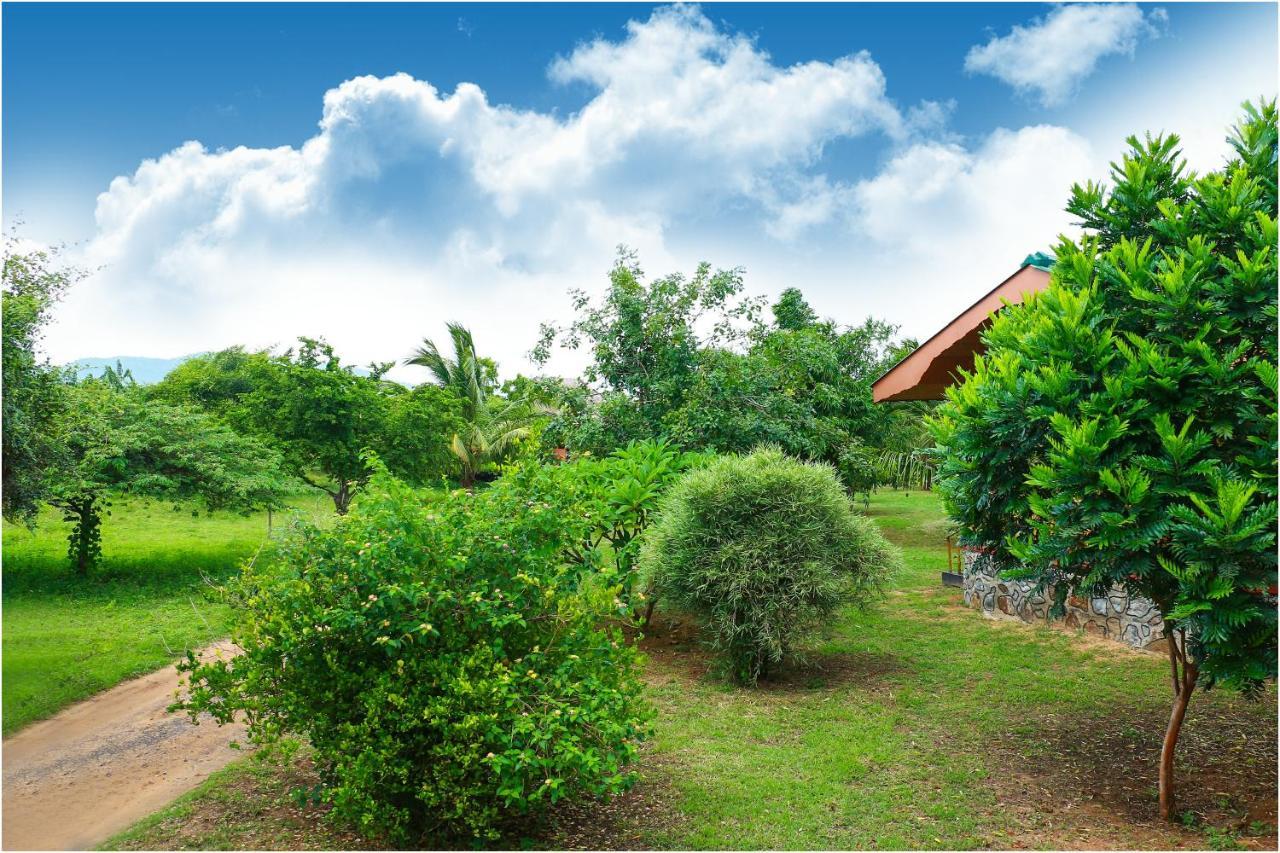 Yala Peace Cottages Tissamaharama Exterior photo