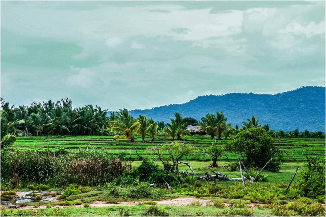 Yala Peace Cottages Tissamaharama Exterior photo