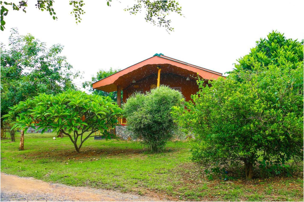 Yala Peace Cottages Tissamaharama Exterior photo